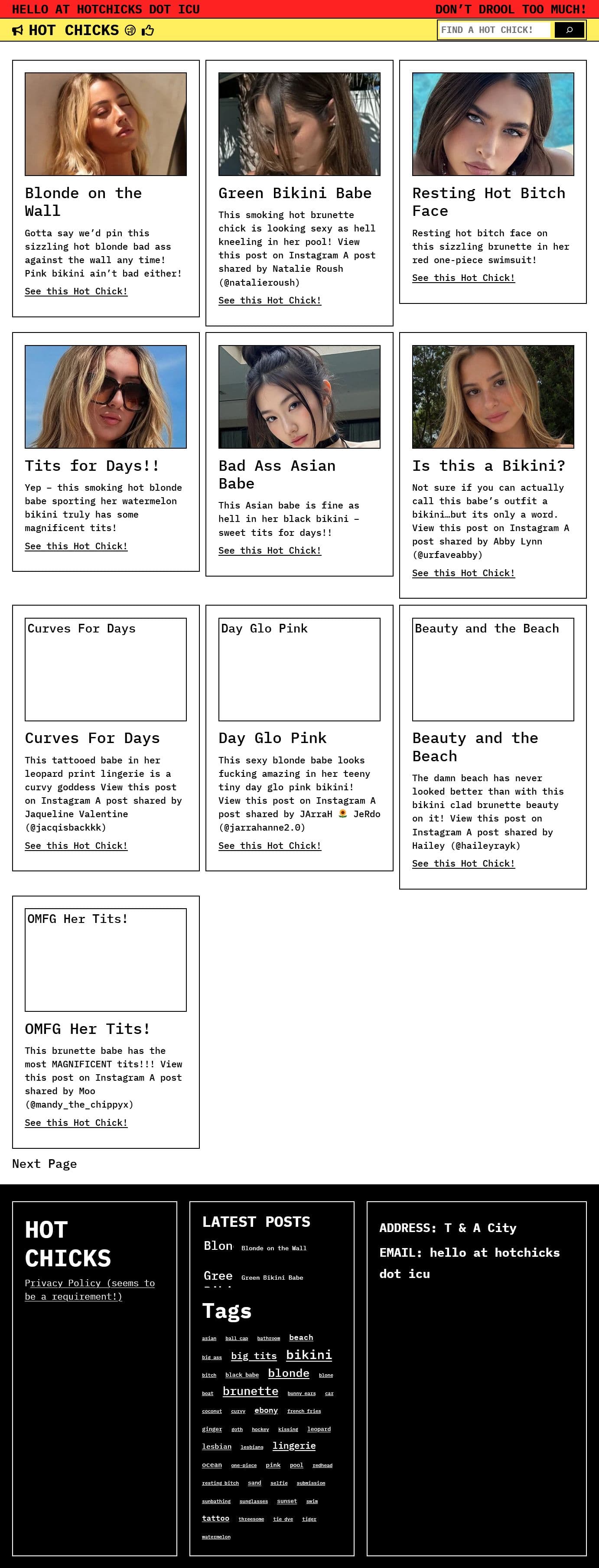 Screenshot of hotchicks.icu